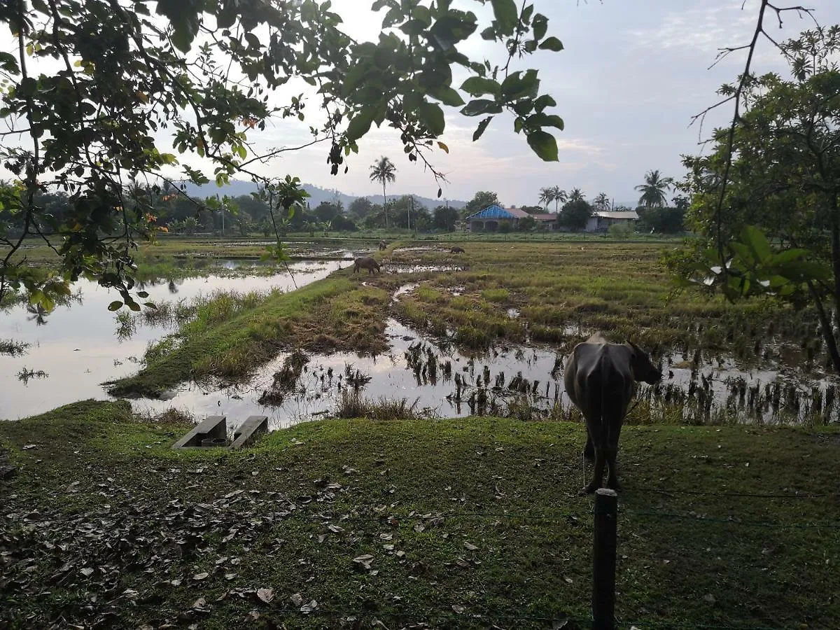 Homestay Barakah Cenang Langkawi Pantai Cenang  0*, Pantai Cenang (Langkawi) Malaysia